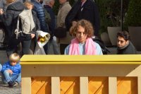 BORG musikalisch im Dienste der Krebshilfe