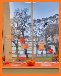 Orange the World: Orange Früchte für eine starke Botschaft