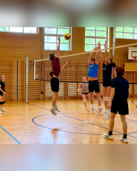 Volleyball Krems Cup