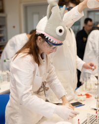 Chemietalente aus Krems beim Landeswettbewerb zur Chemieolympiade