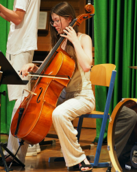 Konzert des BORG Salonorchesters